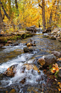 Rushing Aspen Creek is a photograph by Lynn Bauer. A gorgeous fall view of McGee Creek in the High Sierra Mountain Range of California. This particular spot sits adjacent to the campgrounds for McGee Creek, found in the Inyo National Forest and is also pa