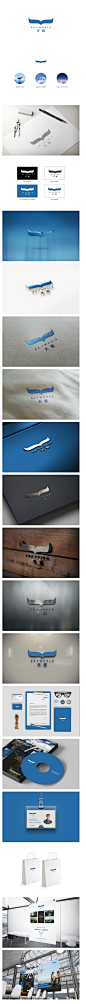 SKYWHALE无人机品牌LOGO设计_案例欣赏_天蓬网