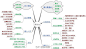 “领导力”思维导图