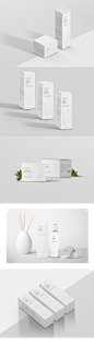 NBI5 Brand Package Design Project