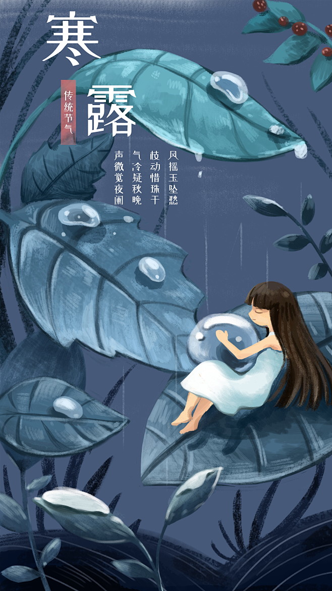24节气插画—寒露