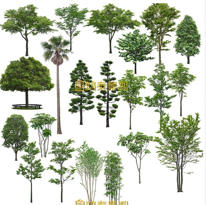 园林景观设计PSD分层树木花草植物立面图效果图PS后期绿化植物库-淘宝网-花瓣网