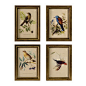 IMAX Worldwide Home - Agatha 4-Piece Wooden Bird Plaque Set - Fine Art Prints