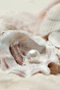 贝壳中的有机珍珠。美丽的贝壳的安排。海宝概念。