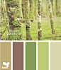 mossy palette