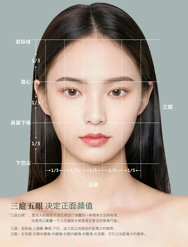 审美干货 ｜高级人像面部五官美学(上) - 小红书-花瓣网