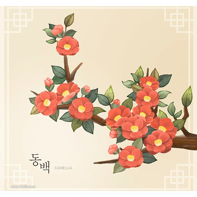 中式花纹边框鲜花植物水彩插画
