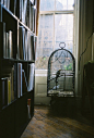 calms:

nature & vintage blog

