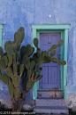 摩洛哥风民宿设计 绿植配置 图例