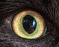 20150903-AndrewMarttila-13