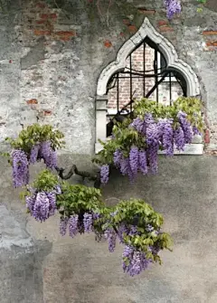 门窗 - 堆糖，美图壁纸兴趣社区