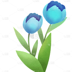 用户Y2iyGQz4采集到郁金香
