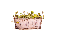 chengzi20142019采集到插画作业素材