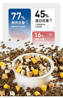 撒旦纳尼采集到宠物产品海报