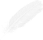 PNG格式图片羽毛