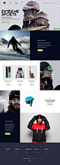 WordPress Themes