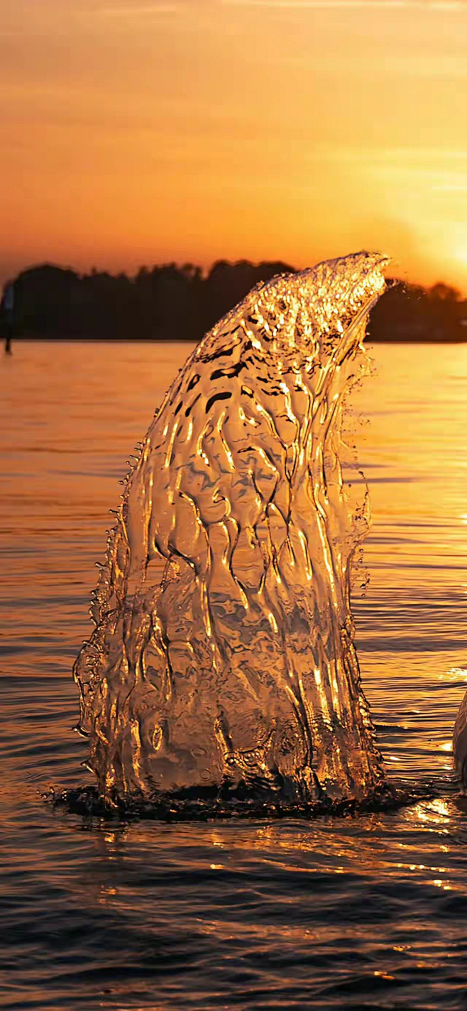 《海》