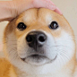 来自相册