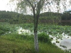 阿筝呀采集到风景/玩的开心