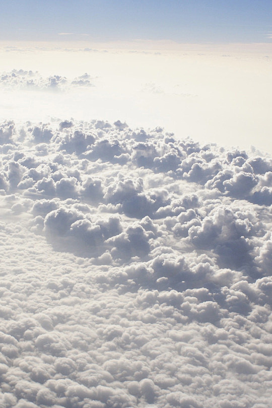 (17) Tumblr