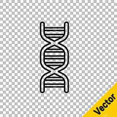 黑线DNA符号图标孤立在透明的背景。向量