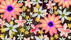 艳丽夺目的彩绘鲜花宽屏桌面壁纸桌面壁纸3