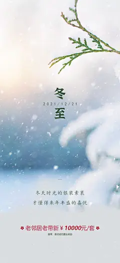 中国传统节气冬至简约素雅手机海报