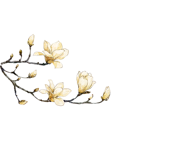 花枝
