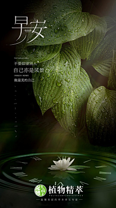 义乌微步采集到聚雅康·植物精萃敷包