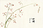 昔酒011日常写生花草选




非常有中国风感觉的手绘植物,也有画家自己的风格,大家感兴趣关注作者的微博:昔酒011