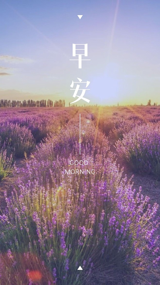 早安问候唯美手机海报