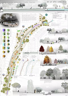 道路绿化效果图-花瓣网|陪你做生活的设计师 | 植物分析图还可以这样做？！