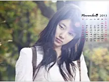 2013年11月日历美女壁纸