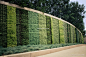 植物墙围墙设计
