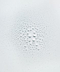 White drops, water, white, simplicity, love white, white moss