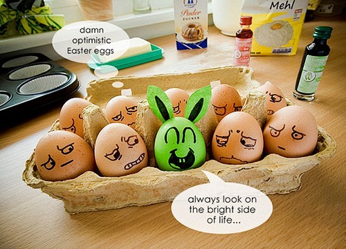 蛋蛋们的美妙人生 - 鲜资讯 - 哇噻网