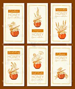 蜂蜜花复古垂直传单设计。 雕刻机，牛奶茴香和圣福安植物与玻璃蜂蜜罐和下降。 手绘薰衣草,荞麦橙图标模