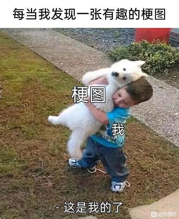 吊图+meme图_吊图吧_百度贴吧-花瓣网