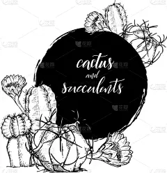 直的,仙人掌,草图,肉质植物,华丽的,商务,请柬,贺卡,结婚请柬,问候