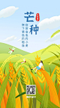 芒种节气稻穗少女插画手机海报