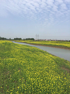 hm2005采集到花海