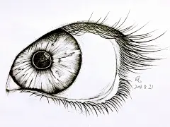 手绘线稿素描黑白铅笔画