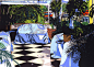 65 JUNGLE OF HEAVEN – GALLERY
