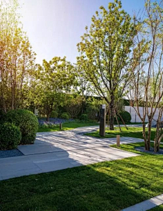 疏林草地-花瓣网|陪你做生活的设计师 | 上海市园林设计研究总院_景观