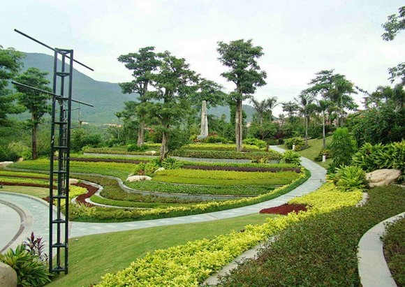 在坡地利用植物营造色块景观设计