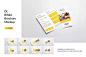 DL双折页企业宣传册设计样机模板designshidai_yj456