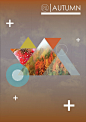 "AUTUMN | POSTER" on Designspiration : AUTUMN | POSTER