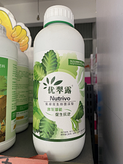 酒泉子采集到包装