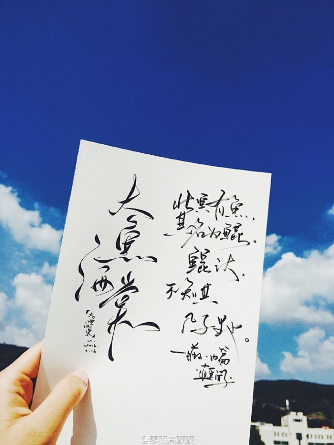 #大鱼海棠夏日大赏##大鱼海棠##手写菊...