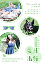 绿色小清新简约夏日出行心情公众号配图